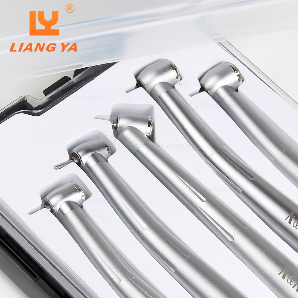 LY H502 Kit de turbina dental de 2 o 4 v&iacute;as con cabezal torque est&aacute;ndar o 45&deg;